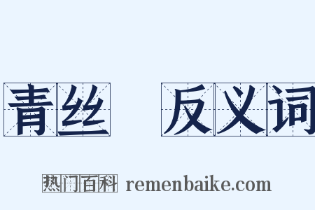 青丝鞚反义词是什么意思的图片